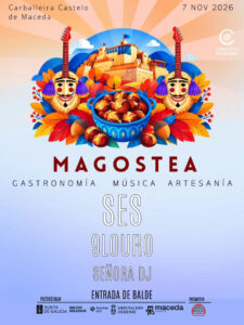 20261107 magostea